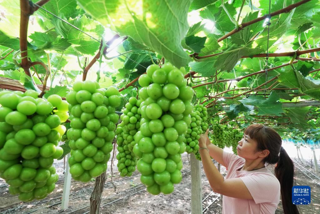 跑胡子必胜技巧